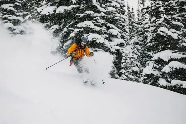 powder img