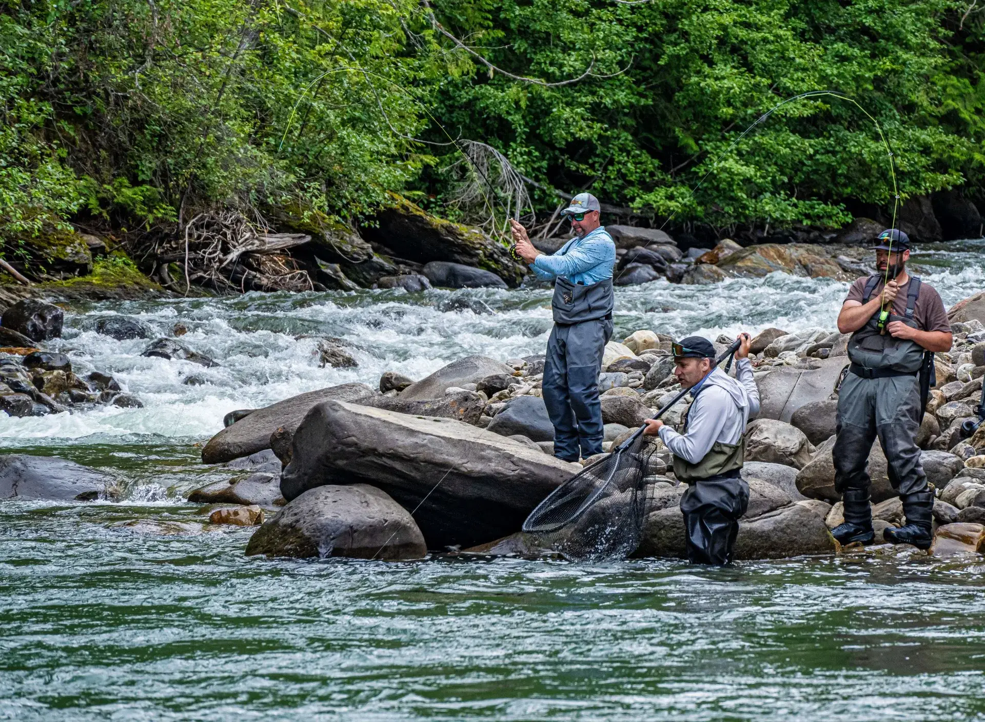 Hero Photo Fishing 2