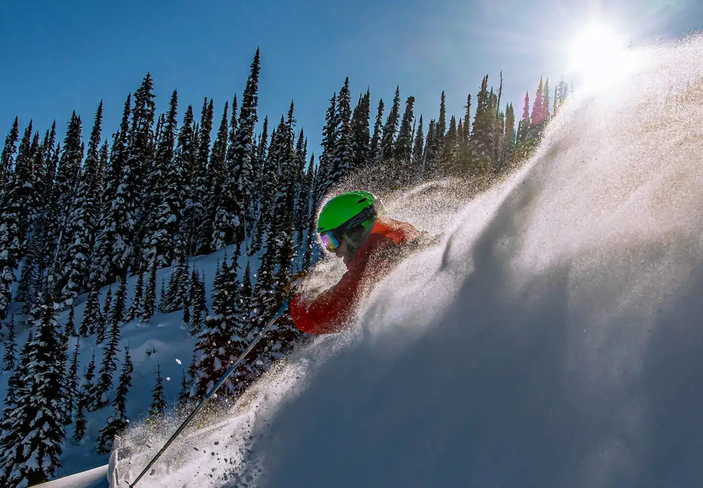 our team skiier image